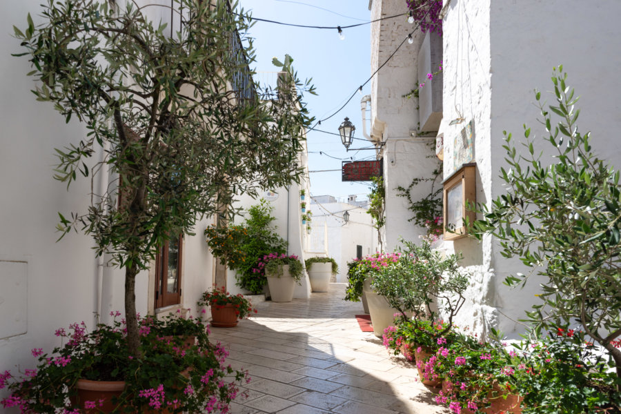 Fleurs dans les rues d'Ostuni, Pouilles