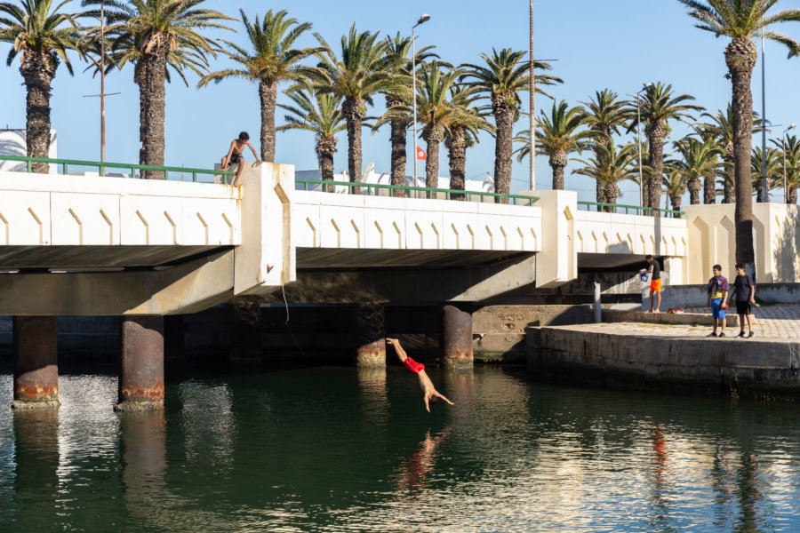 Plongeons dans le canal de Bizerte