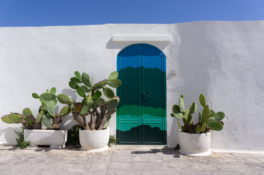 Porte et cactus à Ostuni en Italie