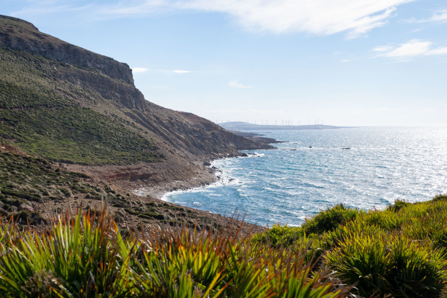 Randonnée au Cap Bon, Tunisie