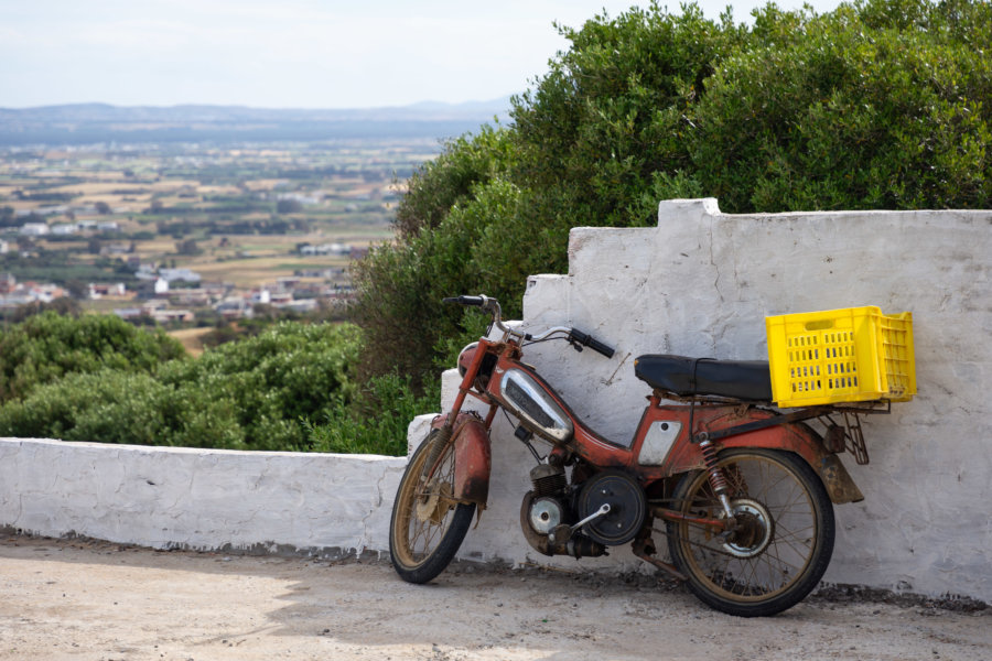 Scooter à la campagne, Cap Bon, Tunisie