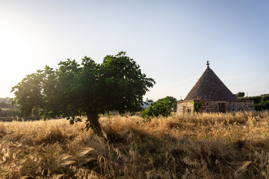 Cyclotourisme parmi les trulli dans les Pouilles