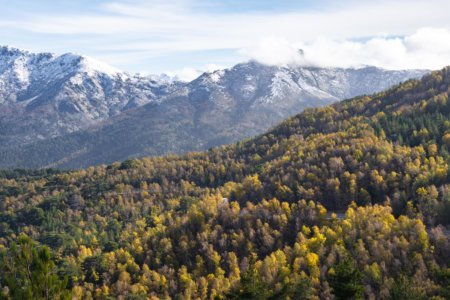 Montagnes corses à l'automne