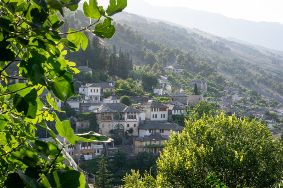 Tower houses à Gjirokastër en Albanie