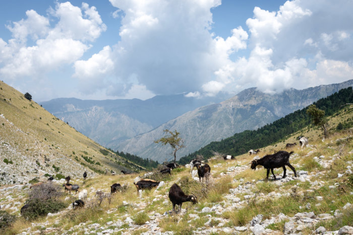 Montagnes albanaises à LLogara