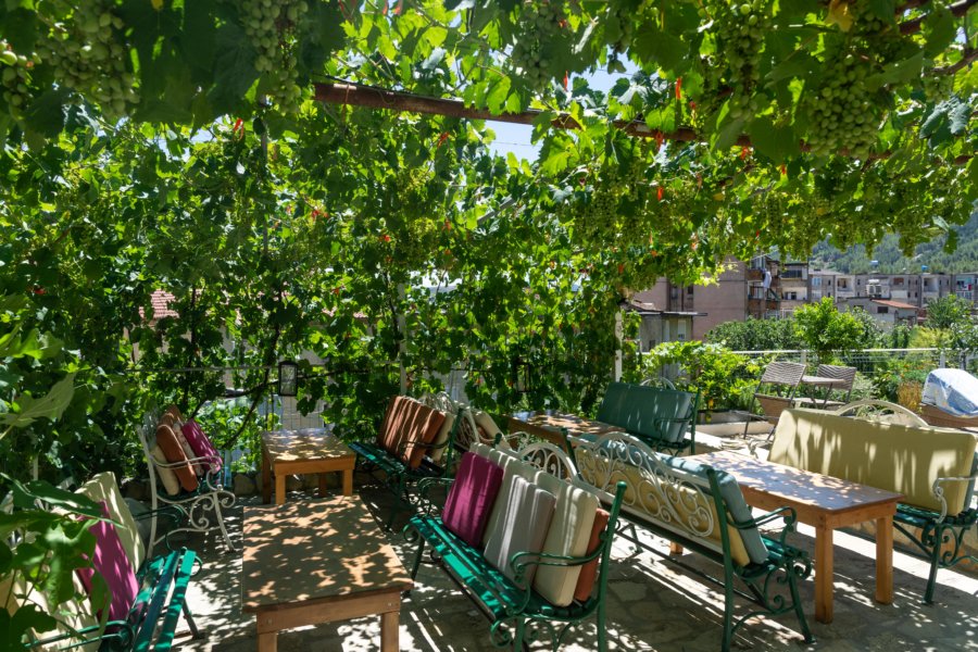 Terrasse et vignes à Përmet