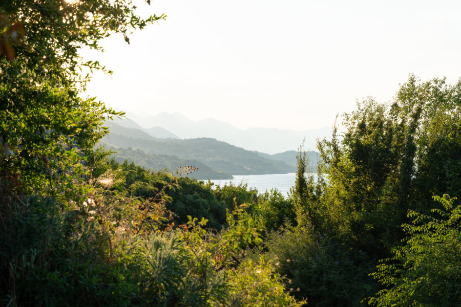 Lac de Shkodër en Albanie