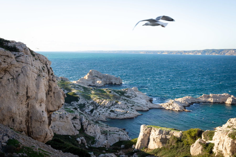 Île de Pomègues, Frioul, Marseille