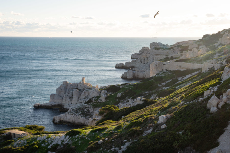 Îles du Frioul à Marseille