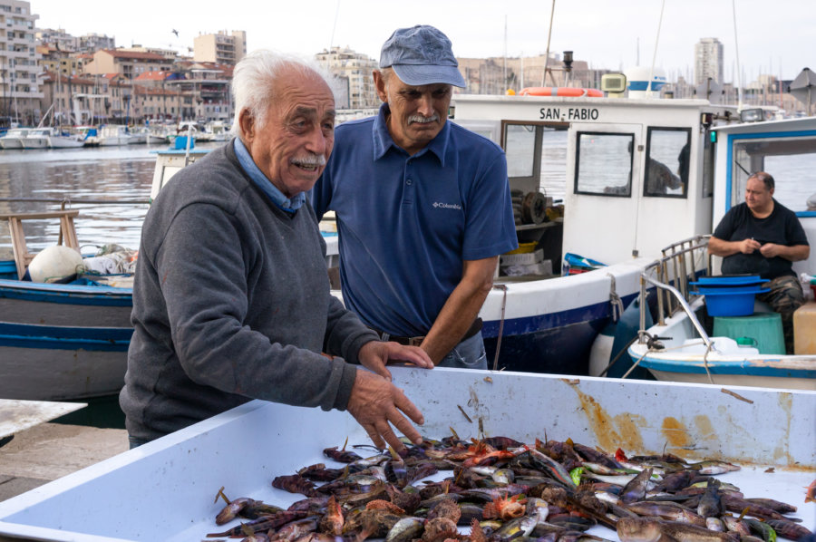 Marché aux poissons du vieux port