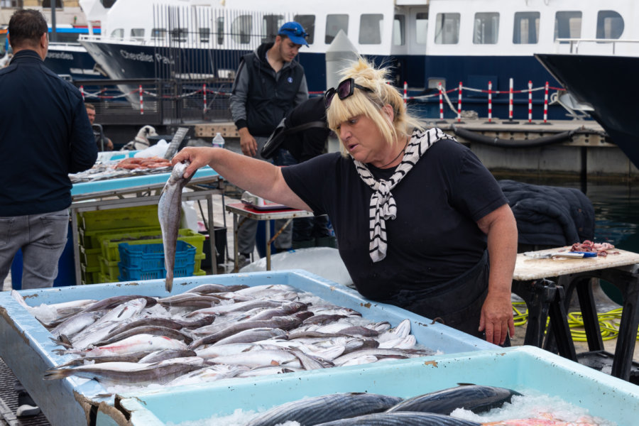 Marché aux poissons à Marseille