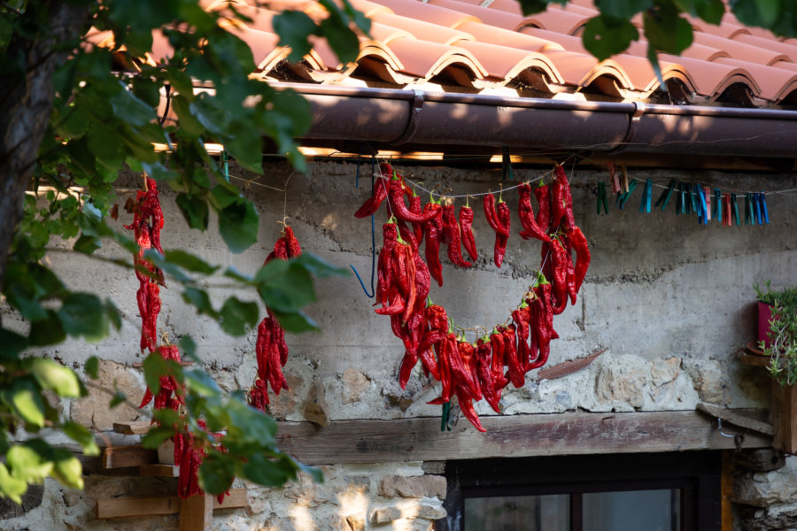 Piments rouges en Macédoine