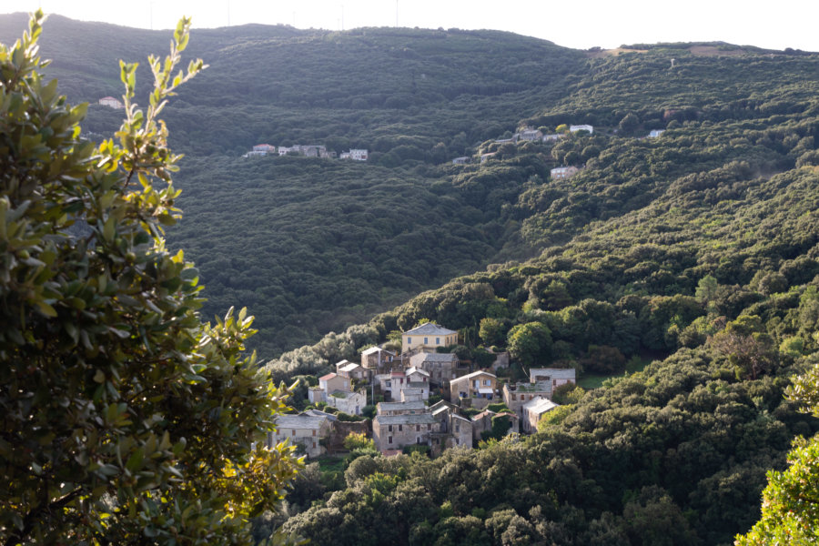 Entre Centuri et Tollare, village du Cap Corse