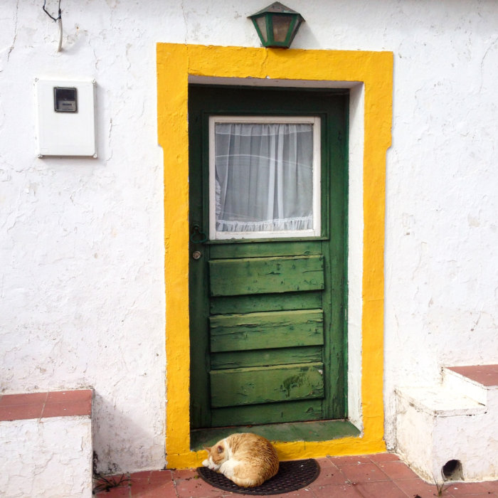 Chat et porte colorée