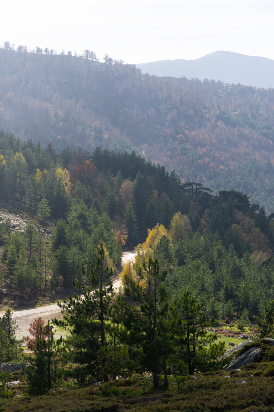 Col de Vergio, automne en Corse