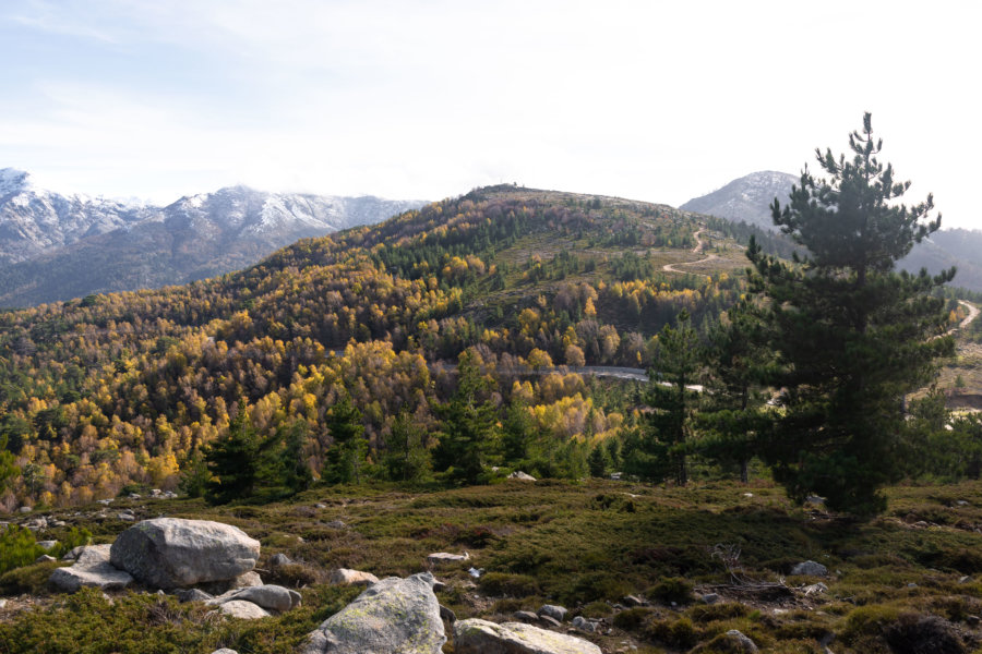 Col de Vergio, montagne corse à l'automne