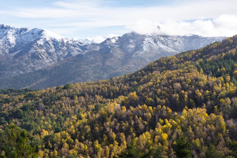 Montagnes corses à l'automne, col de Vergio