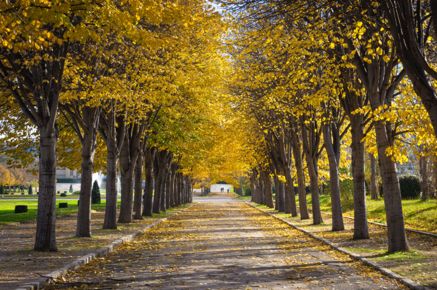 Parc Borély à l'automne