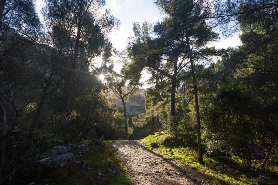 Randonnée dans le parc national des calanques