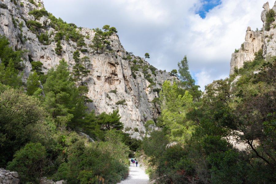 Randonnée dans la calanque d'En-Vau