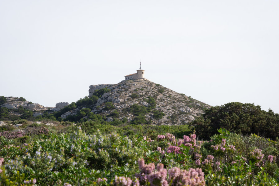 Randonnée à Callelongue, Calanques de Marseille