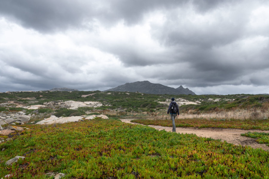 Randonnée à Lumio et la Pointe de Spano, Haute-Corse