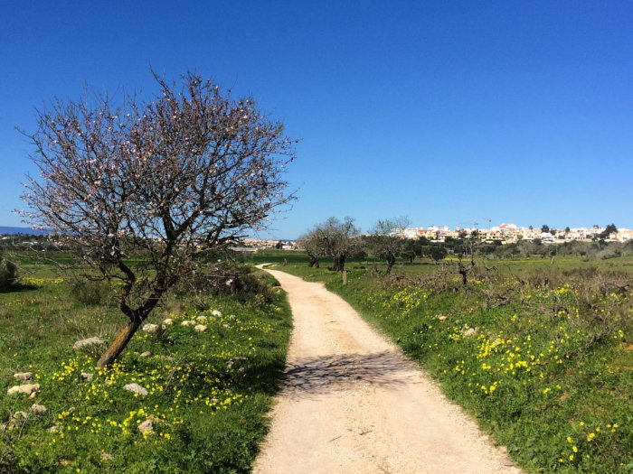 Voyage à vélo sur un chemin d'Andalousie