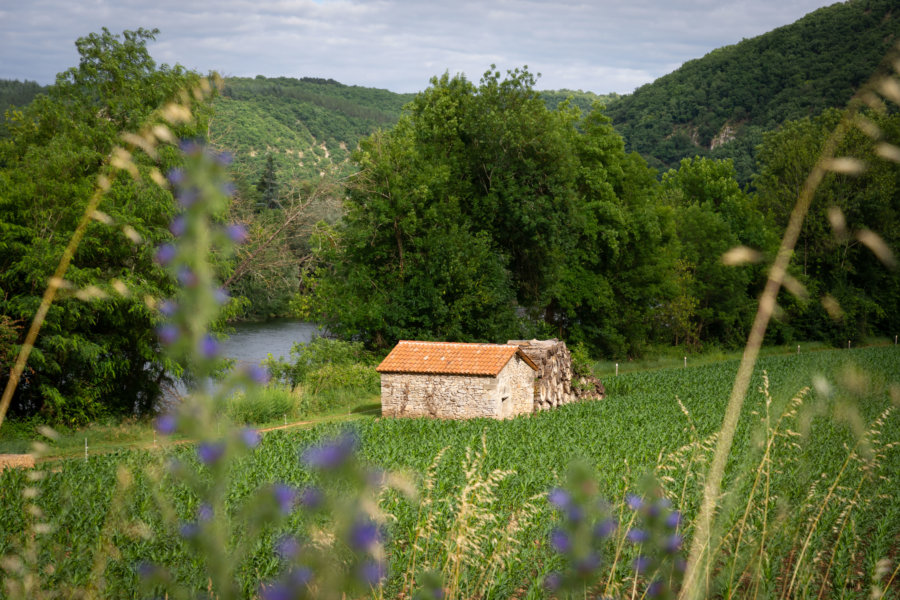 Campagne dans le Lot près de Pasturat