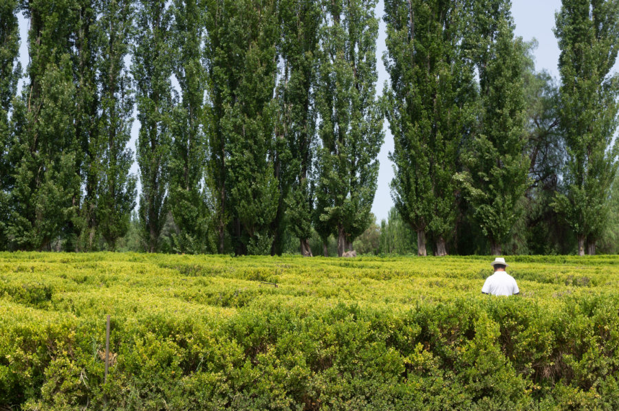 Labyrinthe de Borges à San Rafael