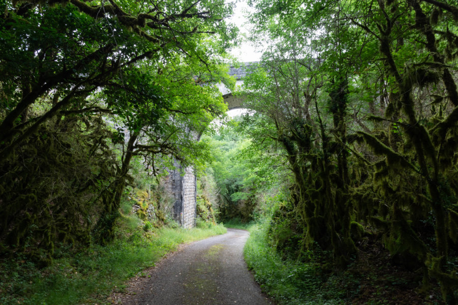 Randonnée de Cahors à Saint-Cirq-Lapopie