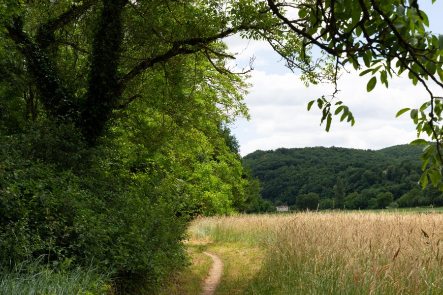 Randonnée dans le parc des Causses du Quercy