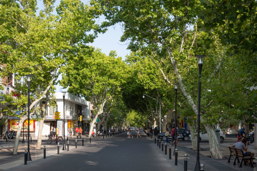 Ville de San Rafael en Argentine