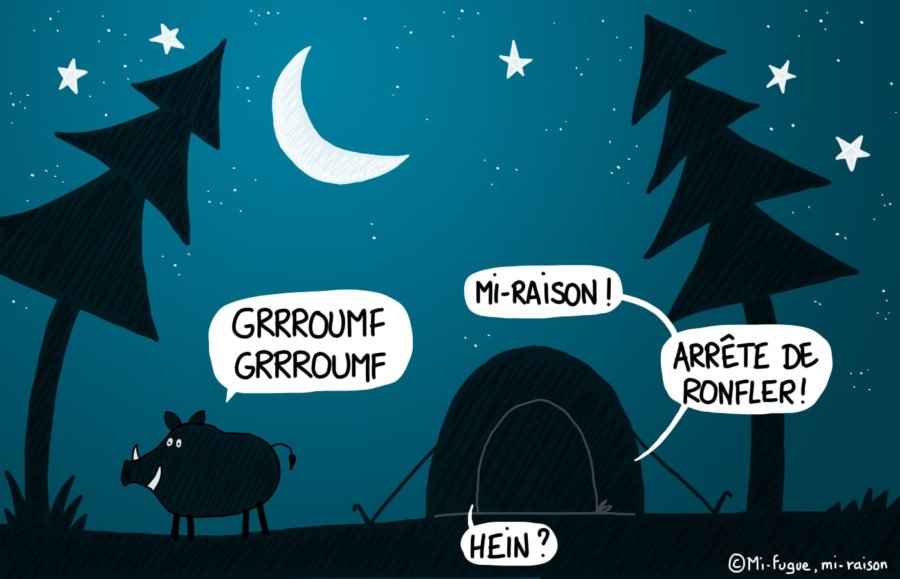 Dessin : visite d'un sanglier pendant une nuit de camping bivouac