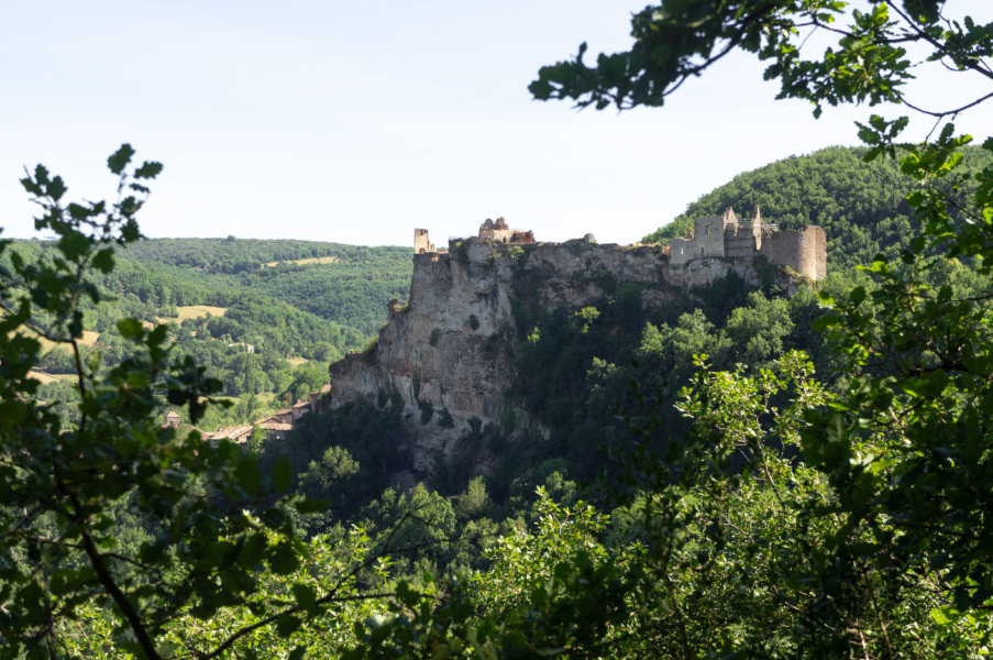 Tarn-et-Garonne: après avoir roulé toute la nuit depuis le Gers, l