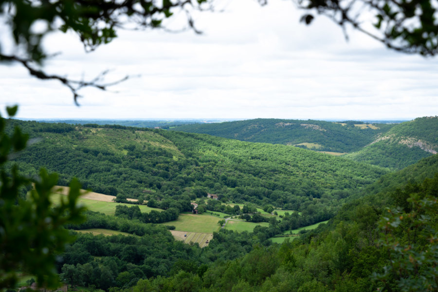 Paysage entre Penne et Bruniquel