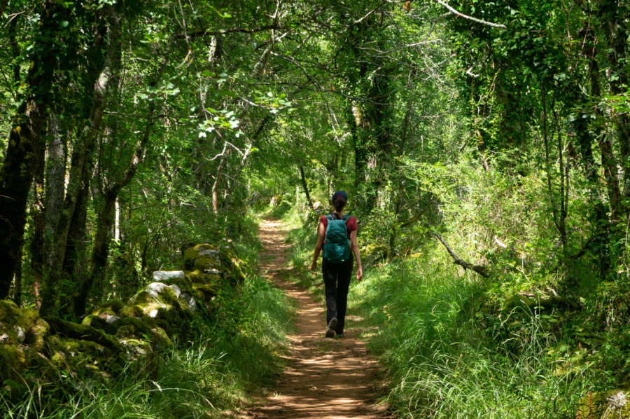 Randonnée dans les bois près de Bruniquel