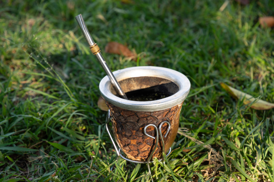 Bombilla à maté dans le parc