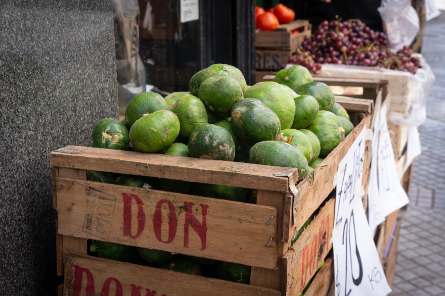 Courgettes zapallitos en Argentine