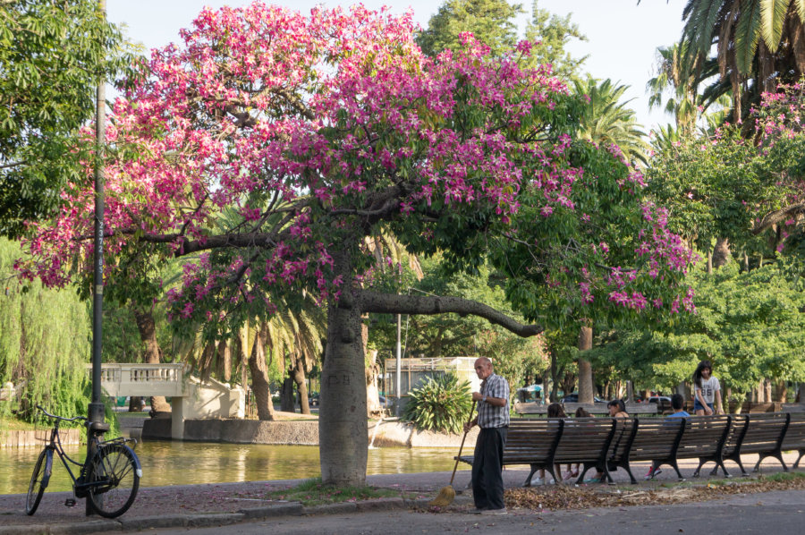 Parque de la Independencia à Rosario