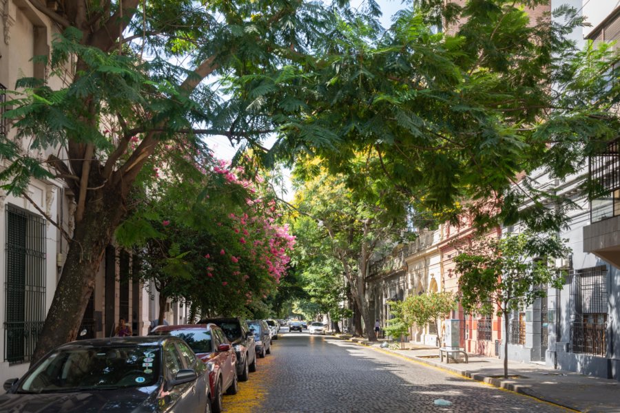 Rue de Rosario en Argentine