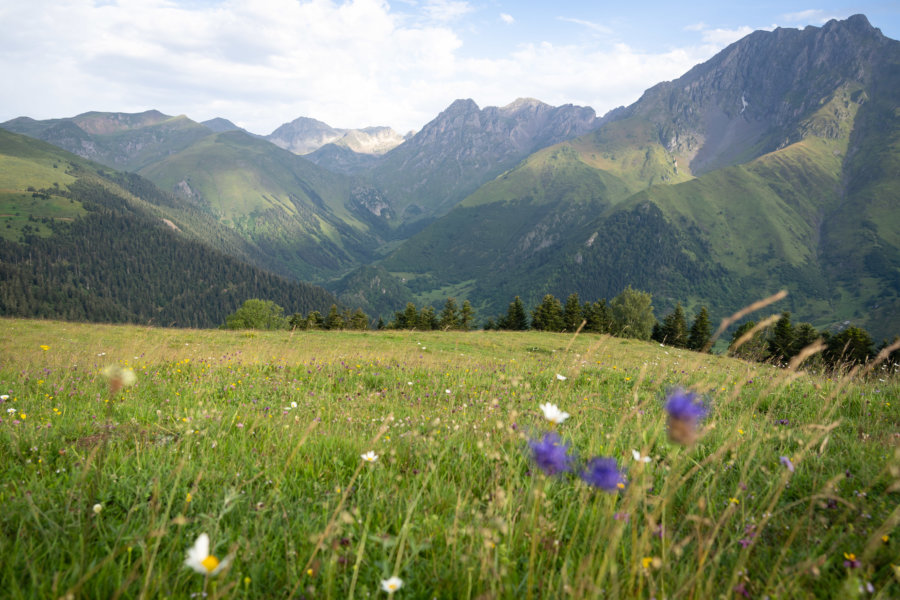 Grascoueou : la montagne l'été dans les Pyrénées