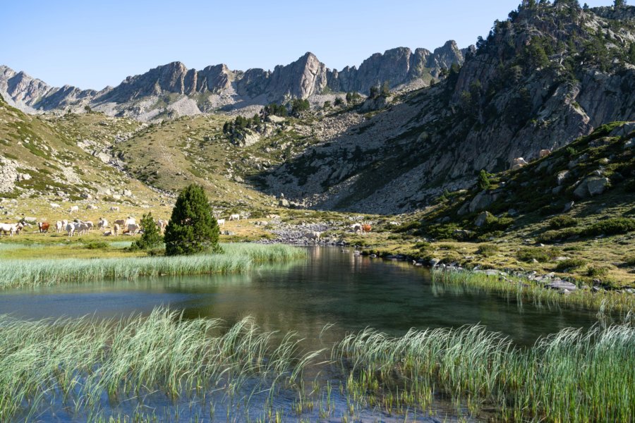 Randonnée à la montagne l'été : réserve du Néouvielle