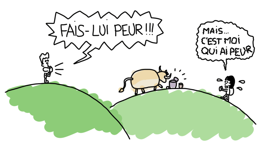 Dessin : vache qui vient manger dans nos affaires