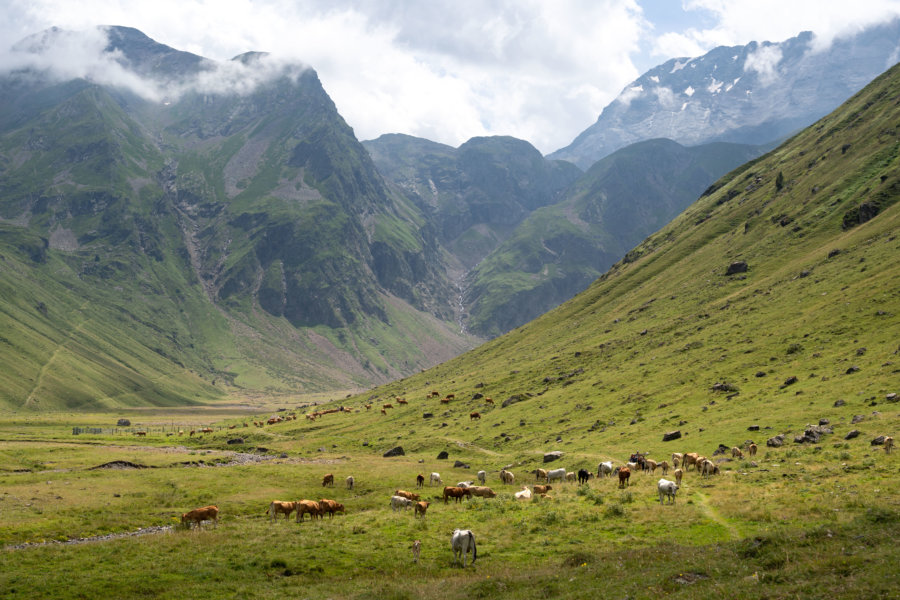 Vallée de Gela, les montagnes des Pyrénées l'été