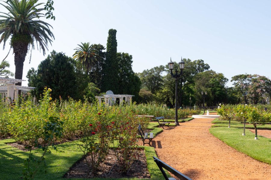 La roseraie, jardin de Buenos Aires