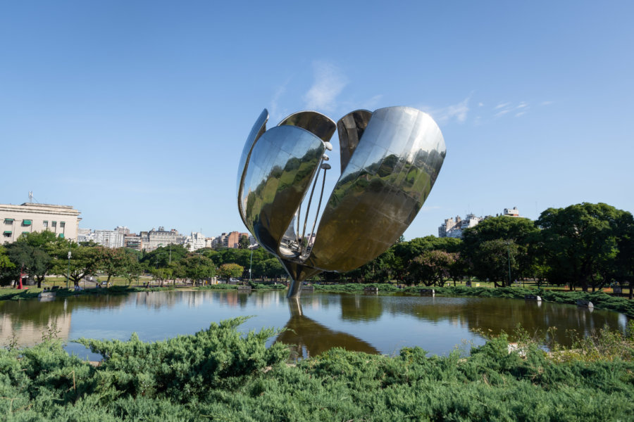 Floralis generica dans un parc de Buenos Aires