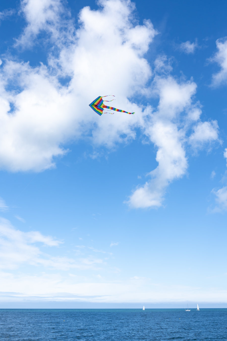 Cerf volant en bord de mer à Fécamp