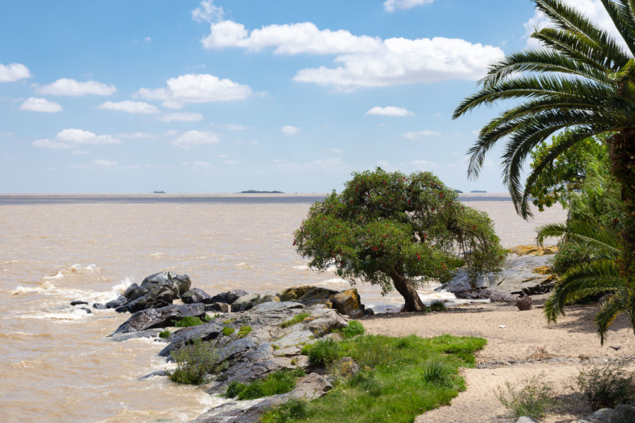 Bord du fleuve de la Plata à Colonia del Sacramento