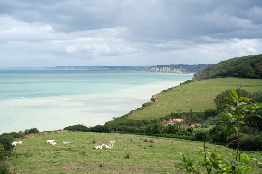 Vue sur la côte d'Albâtre depuis Varengeville sur Mer, randonnée GR21 Normandie