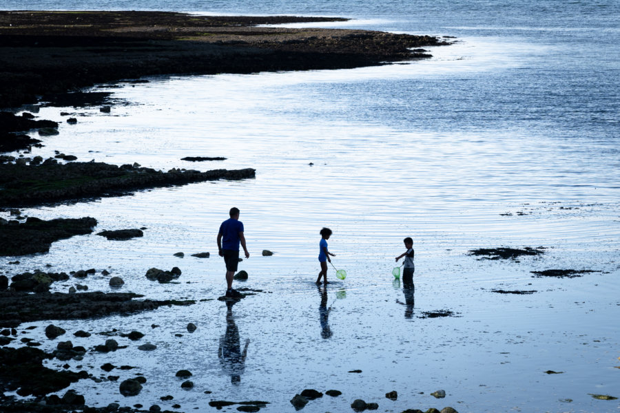 Pêche à l'épuisette à Yport